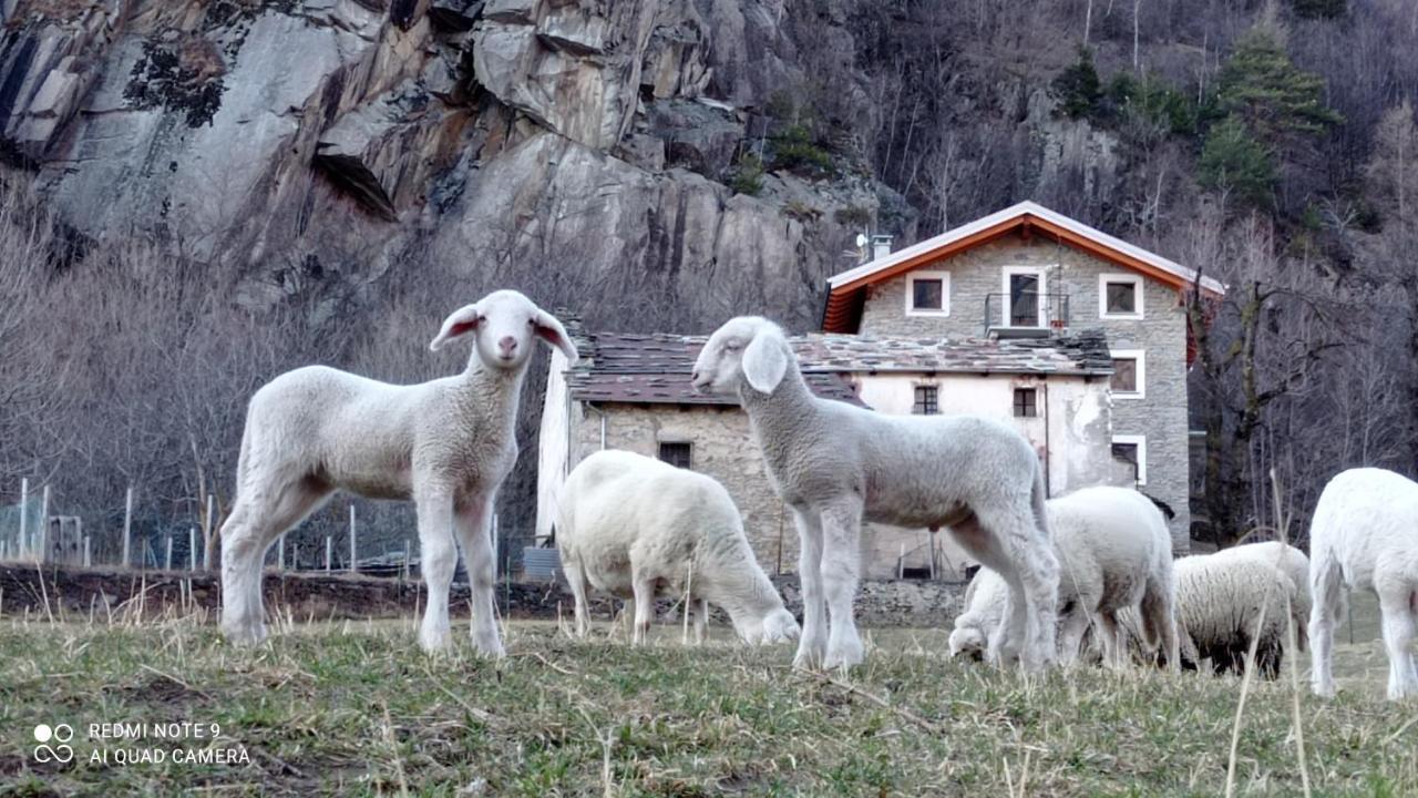 Casa Barbola * Sondalo